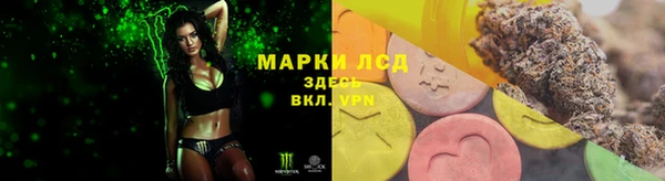 спайс Алзамай