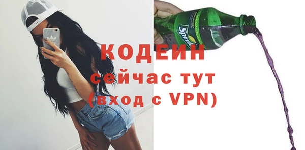 стаф Няндома